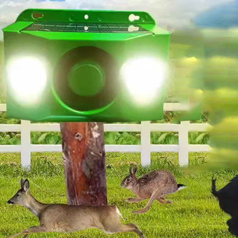 Thumbnail 8